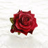 Rl9bLREfUm